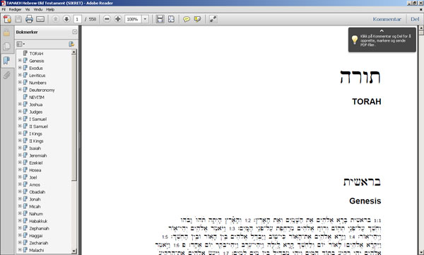 torah