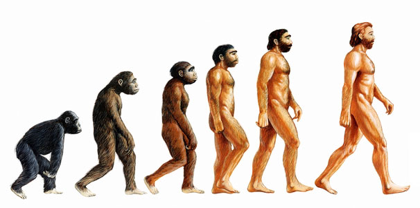 Evolusjonisme: Eksisterer det mellomledd mellom apen og mennesket?